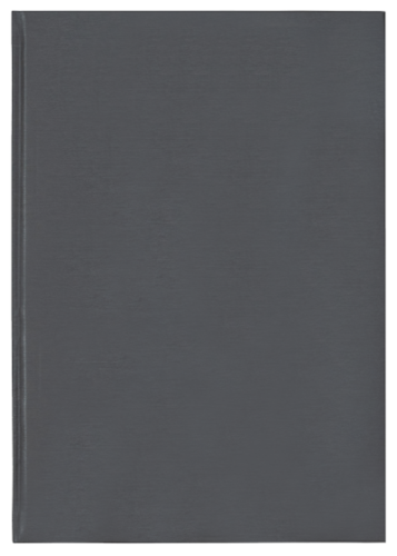 notes-a5-kratka-dz-sideral-e266-srebrny.png