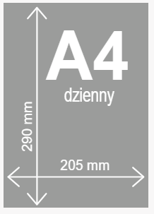 makieta a4 dzienny.png