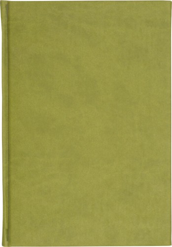 notes-a5-kratka-dz-48-oliwka.jpeg